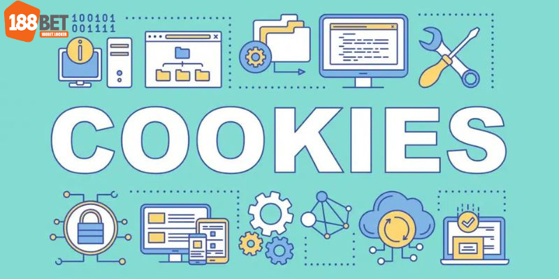 Cookie giúp gì cho trải nghiệm của bạn tại thương hiệu